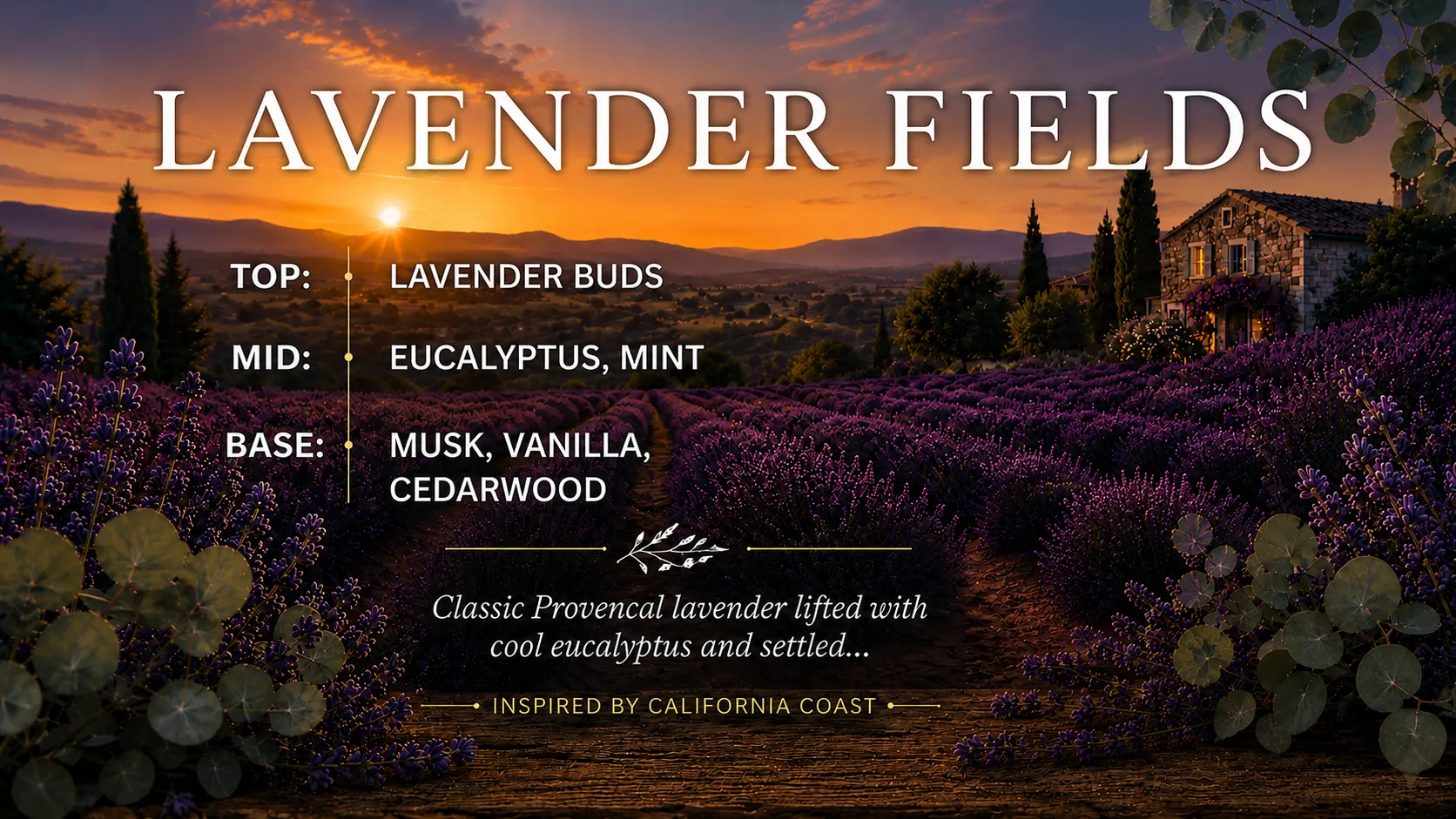 Lavender Fields